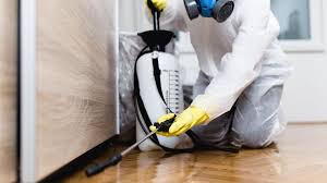 Best Fumigation Services  in Scotia, NY